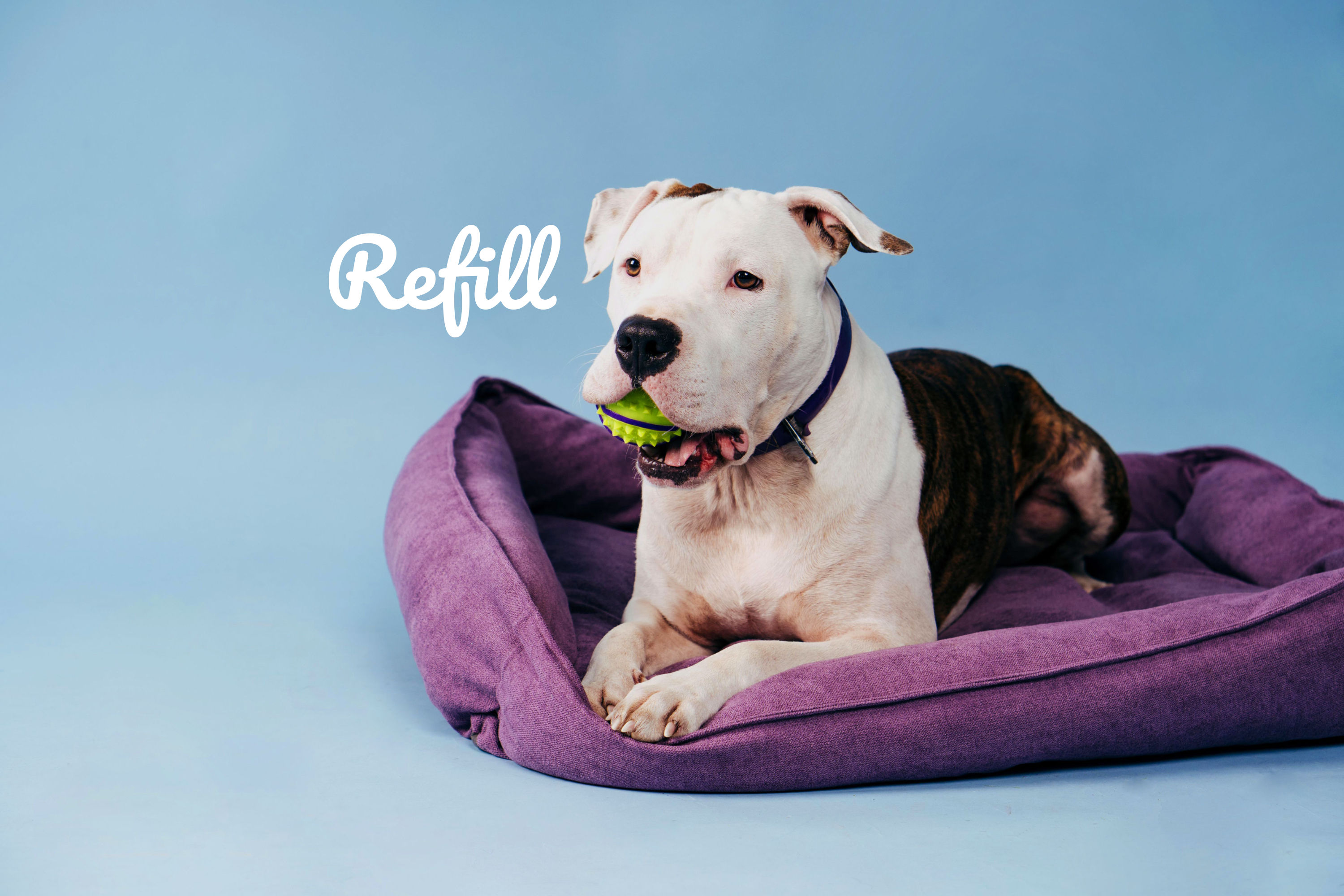 Refill Box Pee Basic