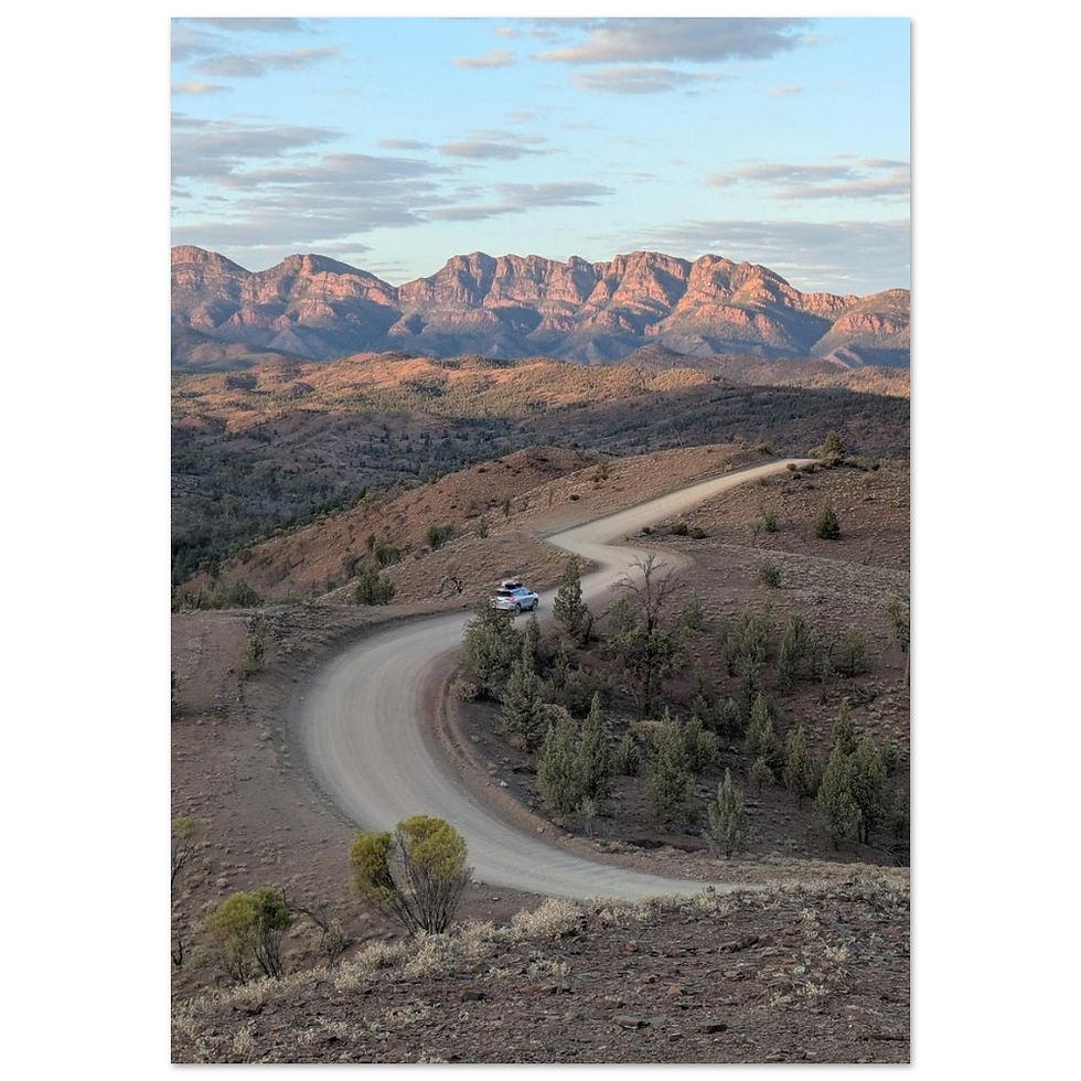 Thumbnail: Razorback Lookout at Sunrise | Premium Matte Paper Poster