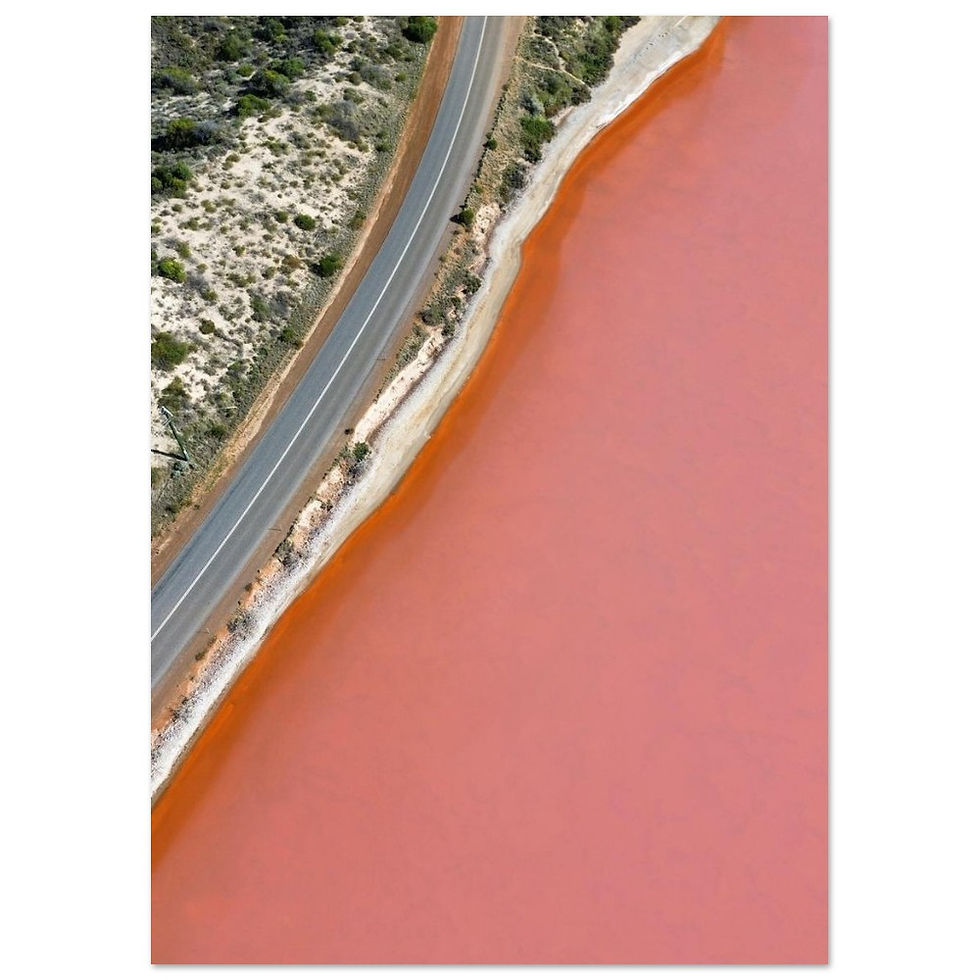 Miniatura: Pink Lake Hutt Lagoon from above | Premium Matte Paper Poster