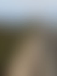 Discovering Tenerife: The Joy of Renting a Car