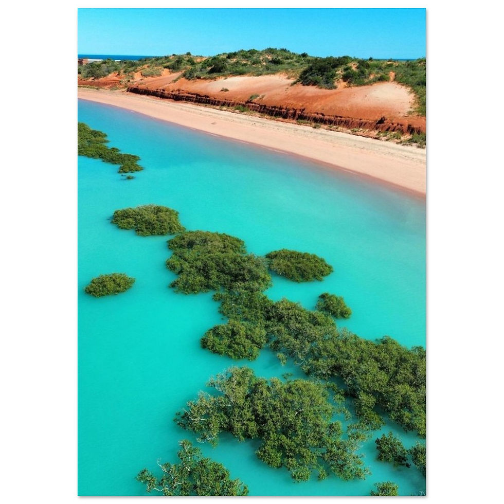 Thumbnail: Colourful Broome | Premium Matte Paper Poster