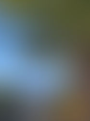 Discovering Puerto de la Cruz: The 10 Best Activities to Add to Your Bucket List