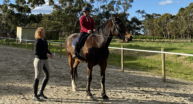 Riding lessons, Horses on the peninsula, Team Vaulting, school holiday program, riding in vacation, team sport, horses, kids activities on the peninsula