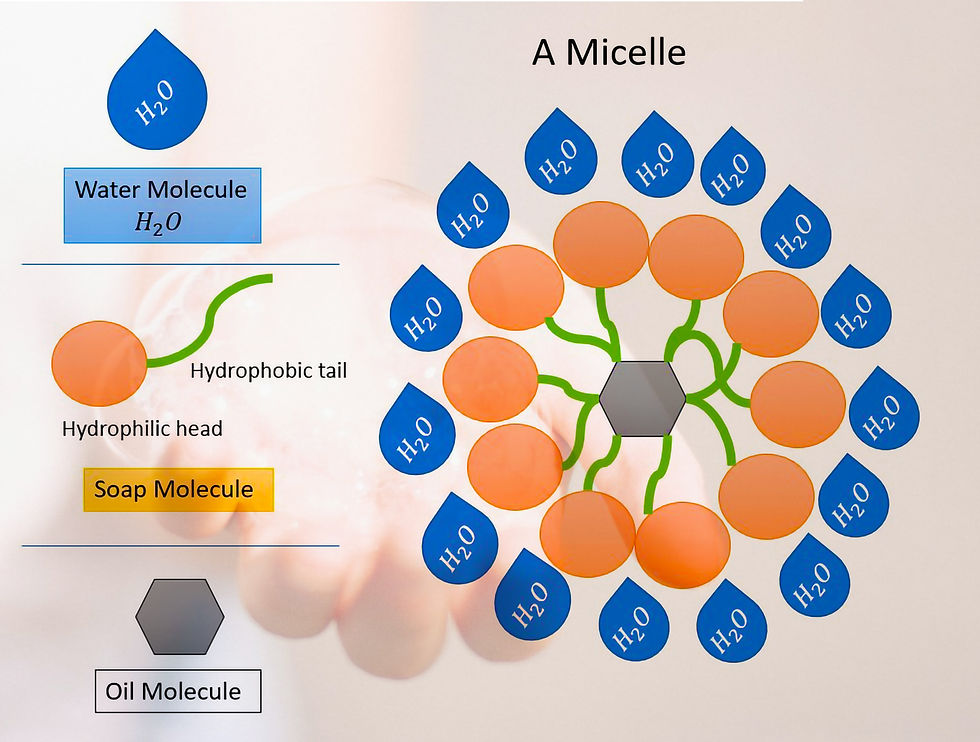 Diagram showing how soap cleanses