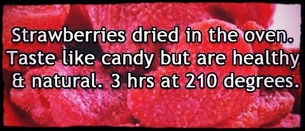 What Is In Season?