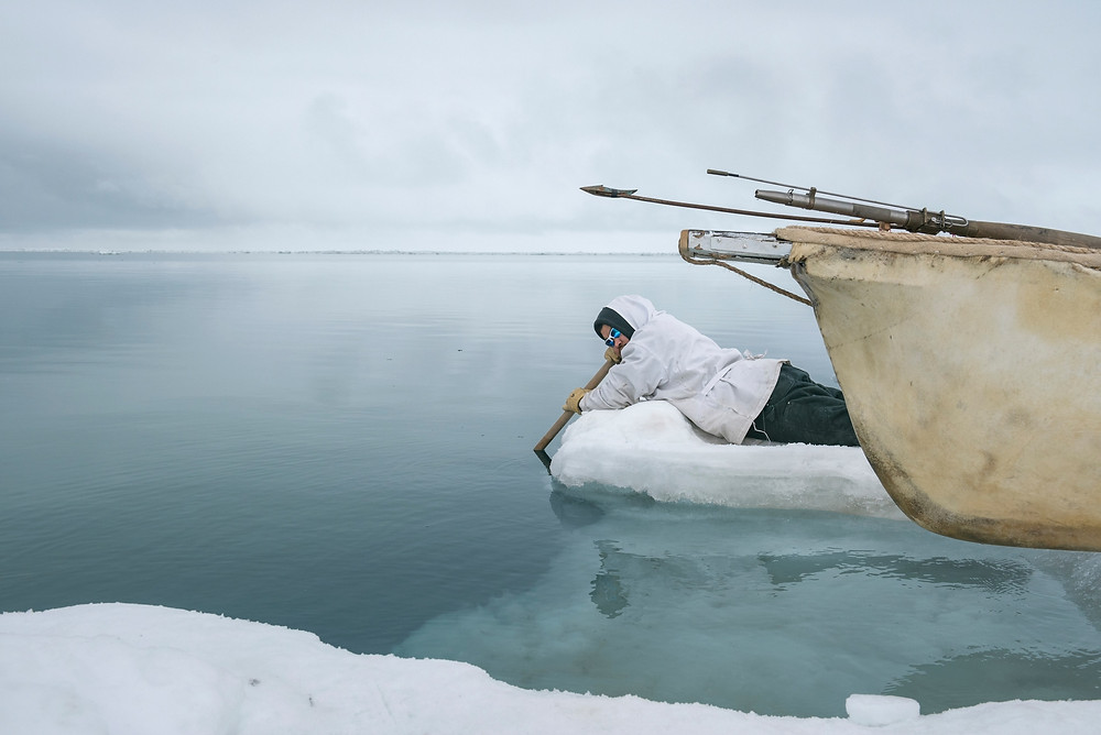 Larry Lucas Kaleak listens to the sounds of passing whales and bearded seals through a skinboat paddle in the water.