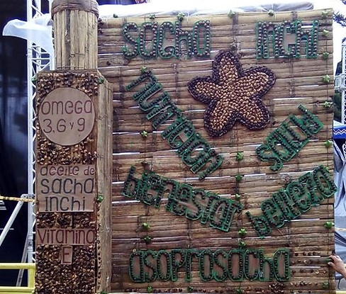 70371102_102977487756674_463258904443643