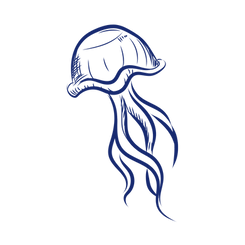 Jellyfish - blue.png