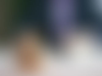 Audiências RJ: Preposto ou Advogado? Correspondente Jurídico