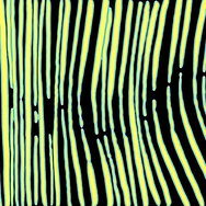 NEON.png