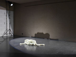 DSC_0919bis.jpg
