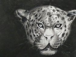 Naina Agarwal, Grade 9
