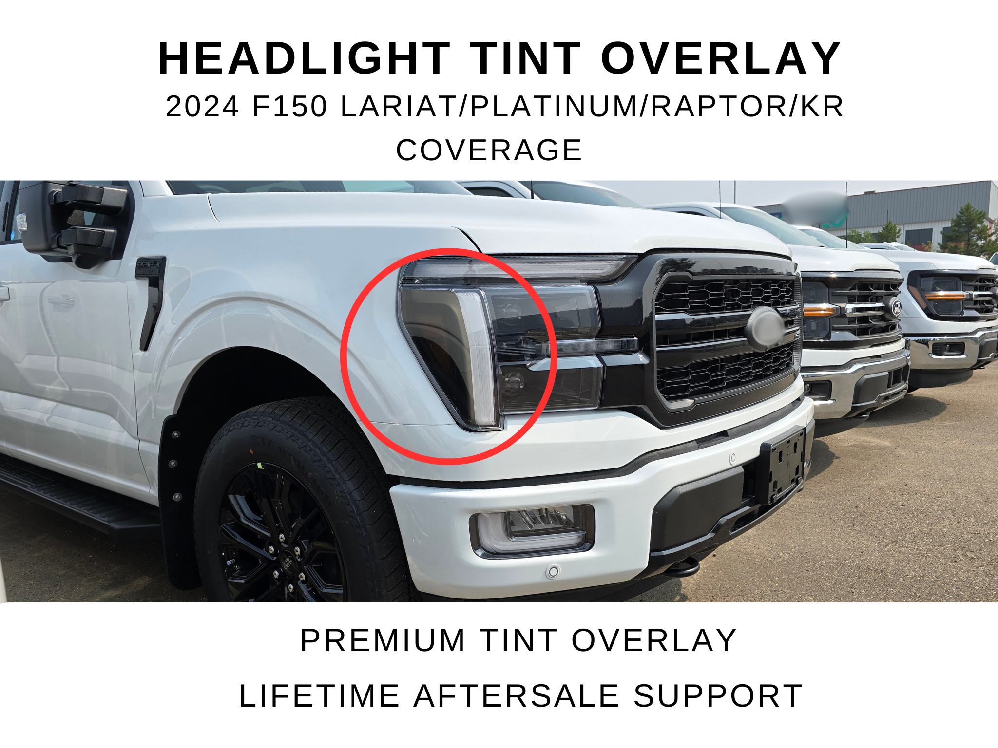 2024 F150 Lariat Platinum Raptor Headlight Reflector Tint Overlay | Read Descrip