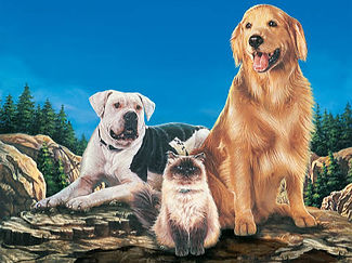 HOMEWARD BOUND_edited_edited.jpg