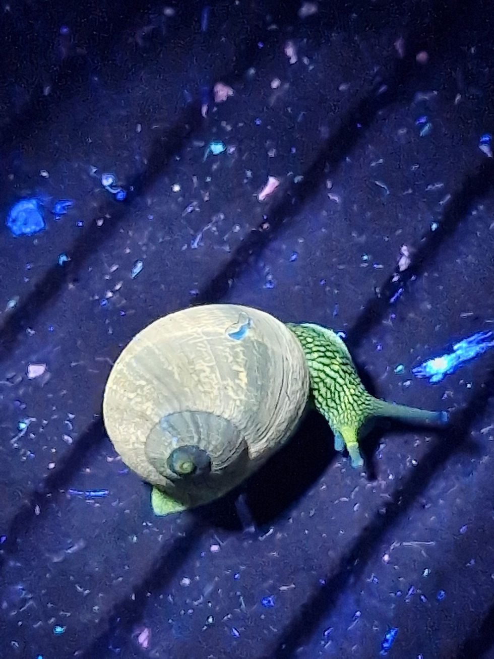 Vale Nature Partnership November 2025 Newsletter