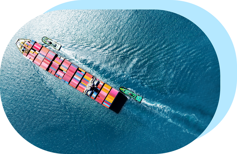 FinScan_Shipping.png