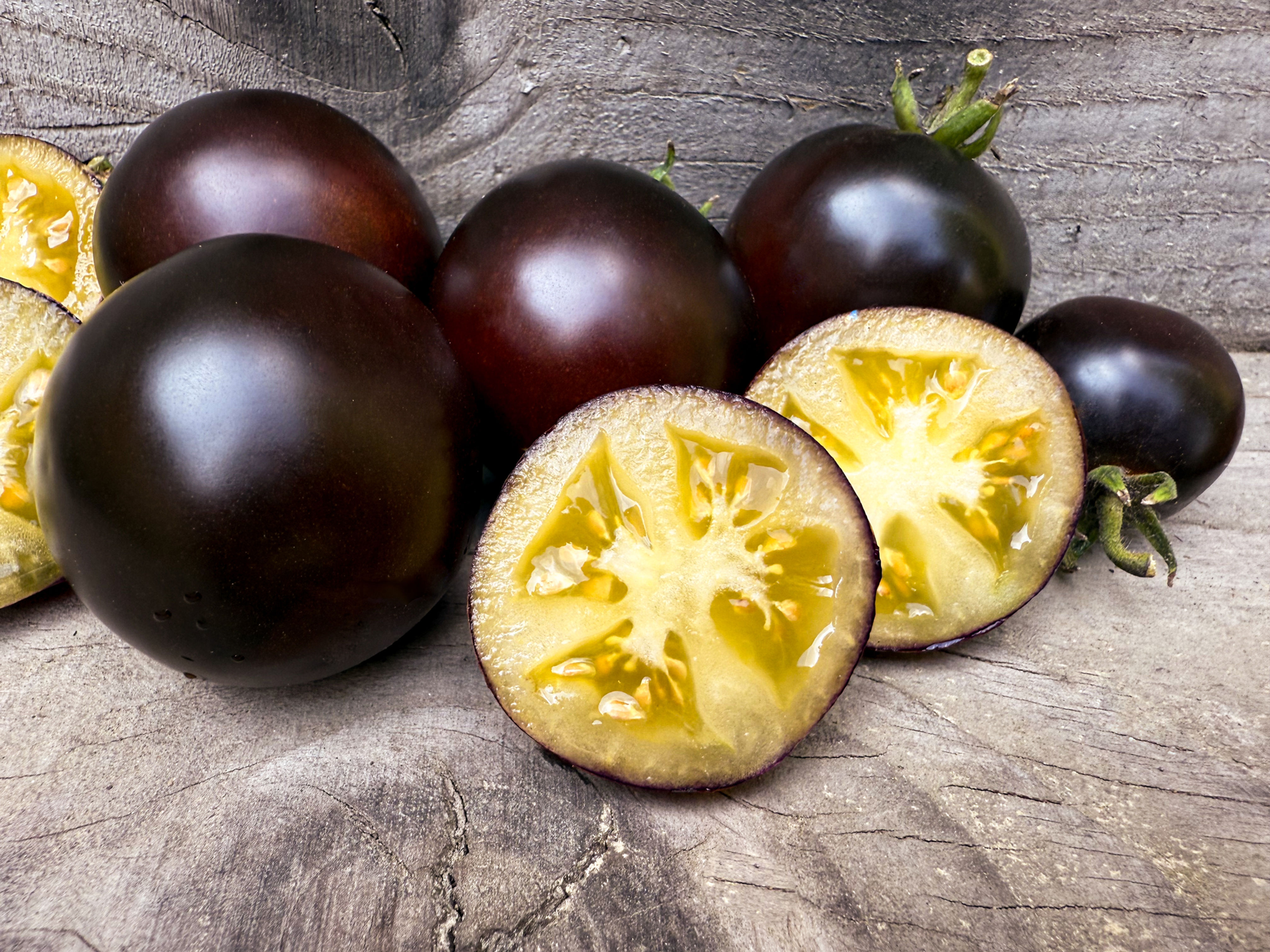 Dwarf Gondwana Moon - Tomato Seeds (1 Pack Max Per Customer)