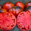 Thumbnail: Blue Gigante Francese di Grenoble - Tomato Seeds (1 Pack Max Per Customer)