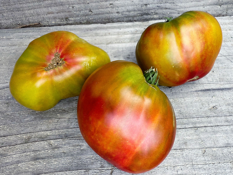 Thumbnail: Dwarf Crimson Sunset  - Tomato Seeds (1 Pack Per Customer Please)