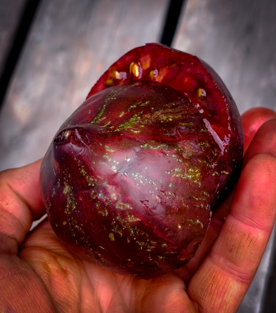 Thumbnail: Rebel Starfighter Prime Tomato Seeds - 1 Pack Max Per Customer