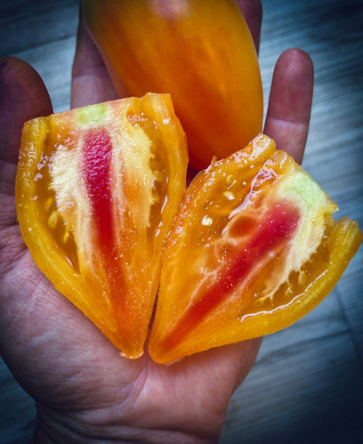 Marina's Praise - Heirloom Tomato Seeds | carmel-bella-farm