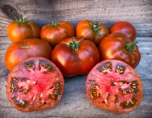 Dwarf Tasmanian Chocolate - Tomato Seeds | carmel-bella-farm