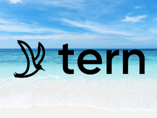 Why We Switched to Tern Travel: A Game-Changer for Our Agency