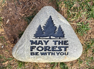 May The Forest Be With You 