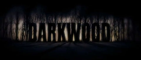 Darkwood Uploaded on Pirate Bay Torrent site by its own Developers of Acid Wizards Studio | Darkwood