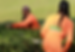 Bush Trimmng.png