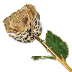 $95.     Stock # 700-1328