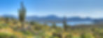 bartlettlake6.jpg