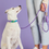 Thumbnail: 5ft Rope Dog Leash | Violet