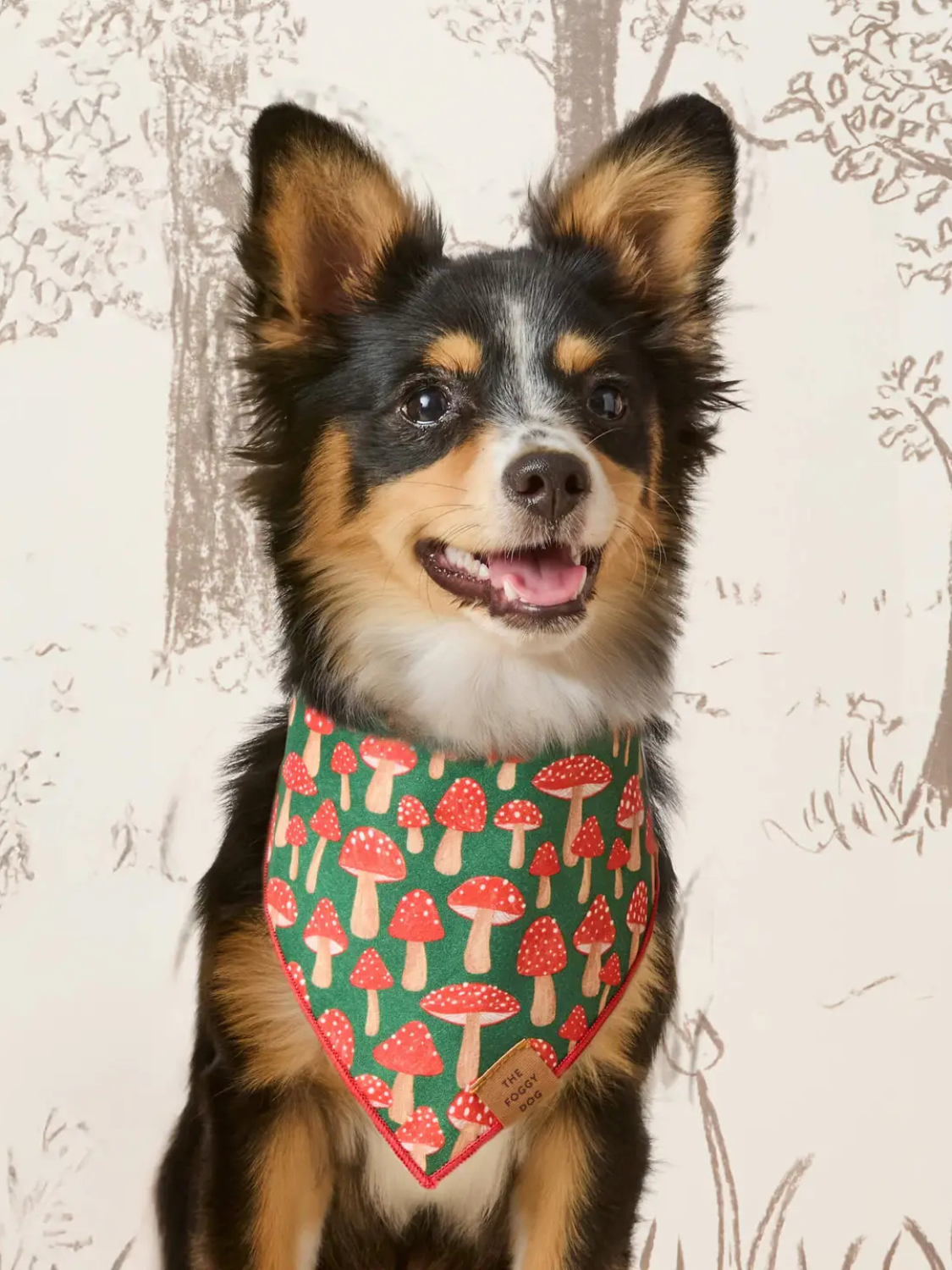 Dog Bandana | Mushroom Meadow