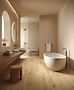 Amb_Unico_bagno_RES _ NAT 20X120.jpeg