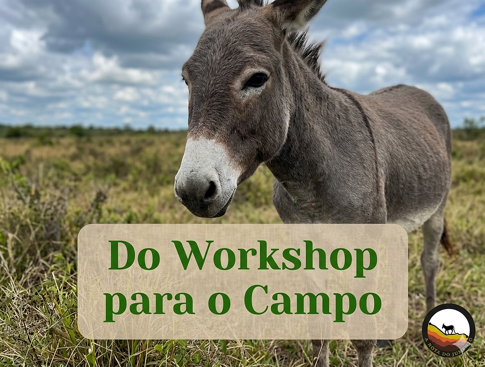 Do Workshop para o Campo: Nossa próxima parada em Serra Preta/Ipirá, na Bahia