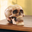 Thumbnail: Realistic skull decoration on table top