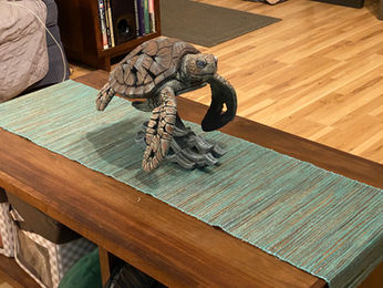 Turtle 3.jpeg