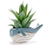 Thumbnail: Small Whale Planter