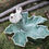 Thumbnail: Ceramic Leaf Dish w/ Bird