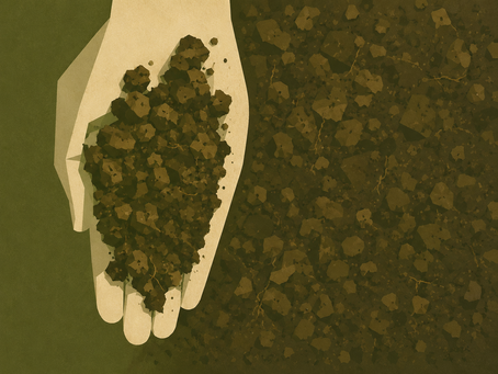 What are Soil Aggregates?