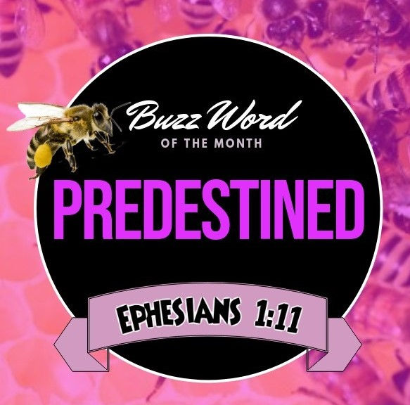 PREDESTINED