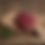 Miniaturbild: Rehwild - Keule mit Knochen