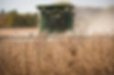 Combine Harvesting Soybeans 09292022.jpg