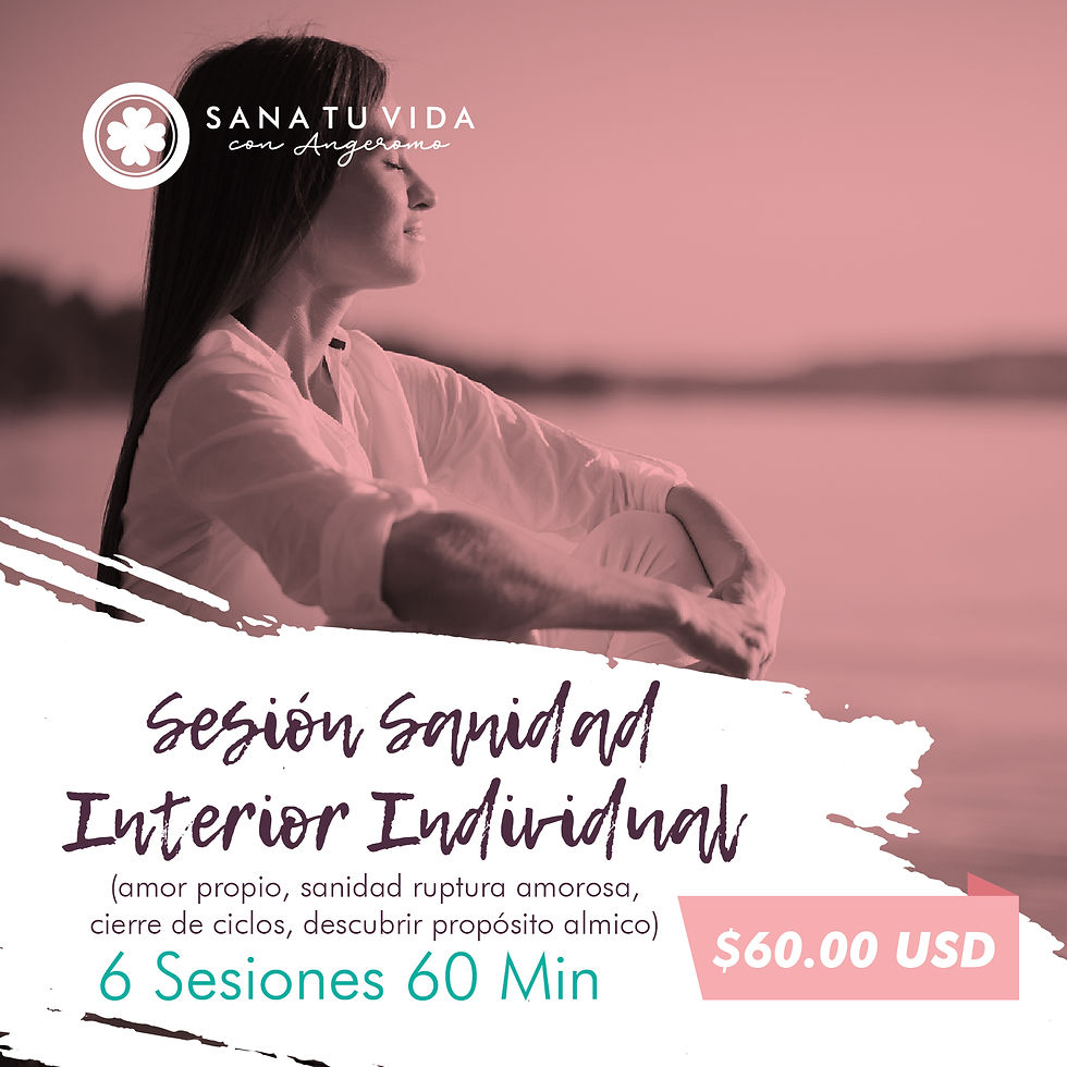 6 Sesiones de Sanidad interior individual