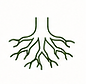 interventions-dessouchage-la-crau-var.png