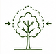 interventions-taille-entretien-arbres-la-crau-var.png