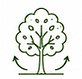 interventions-taille-entretien-arbres-la-crau-var.png