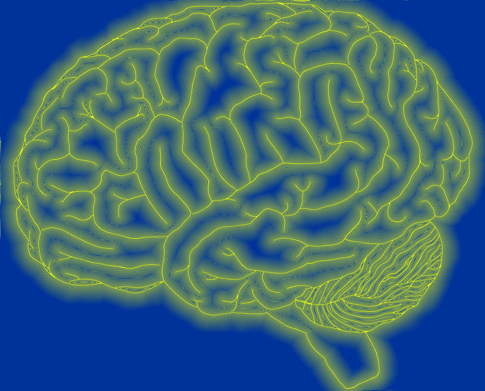 brain-anim