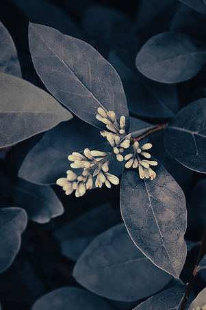 2024_05_29_Walk to the Pond_0003-Enhanced-NRedit cn05 72ppi.jpg